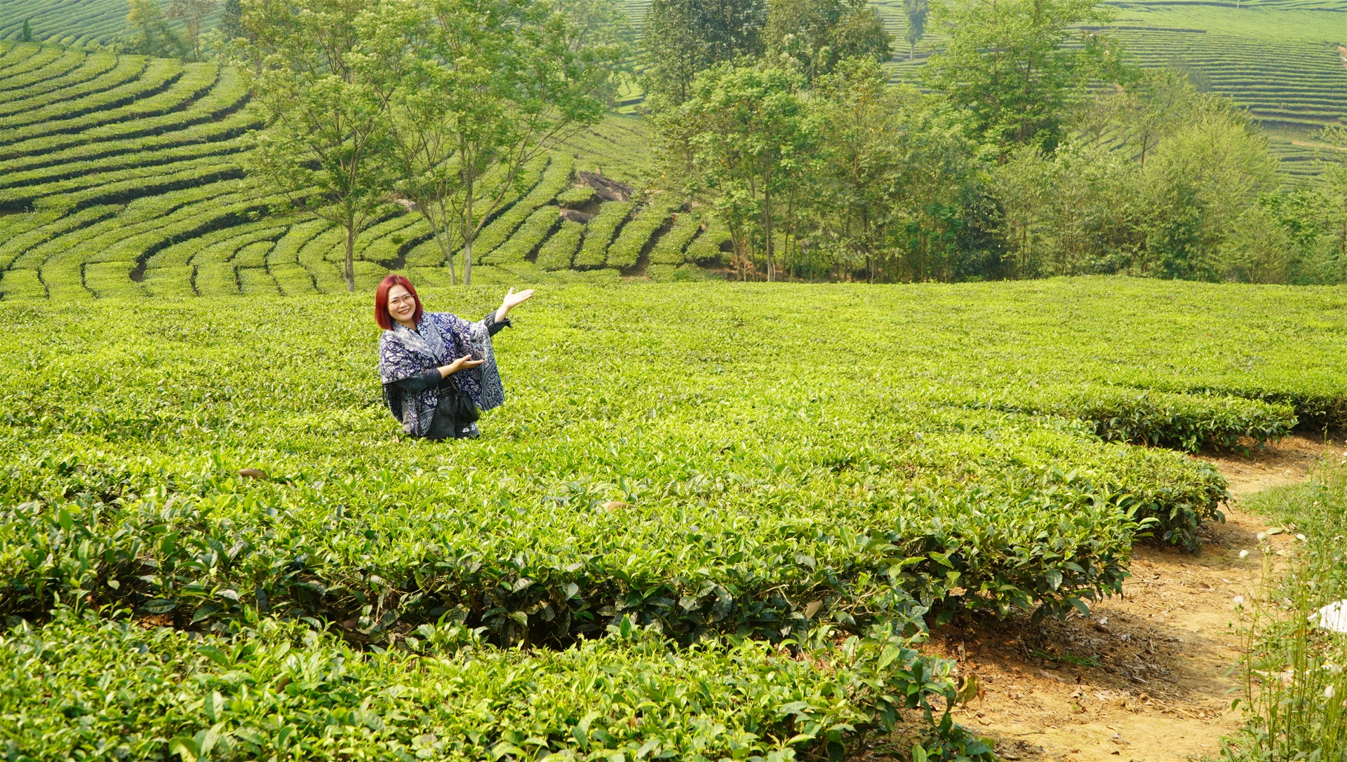 Chữa Lành- Sự Trở Về Với Thiên Nhiên Và Bản Thân